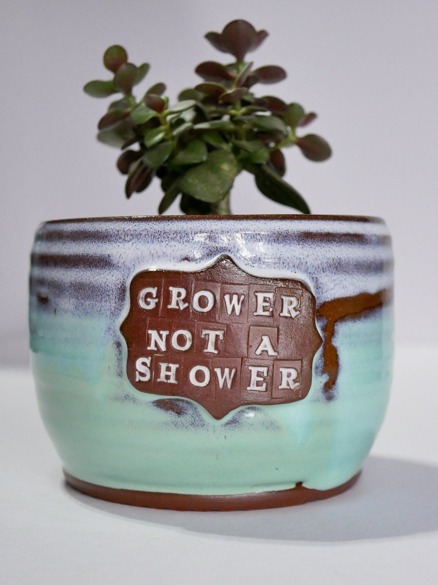 Wheelthrown Planter (3.75"x4.75")