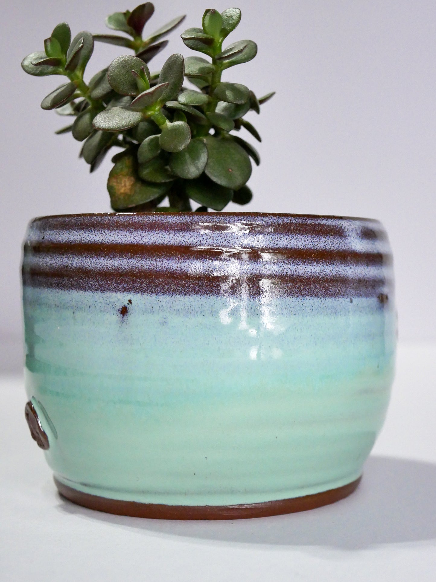 Wheelthrown Planter (3.75"x4.75")