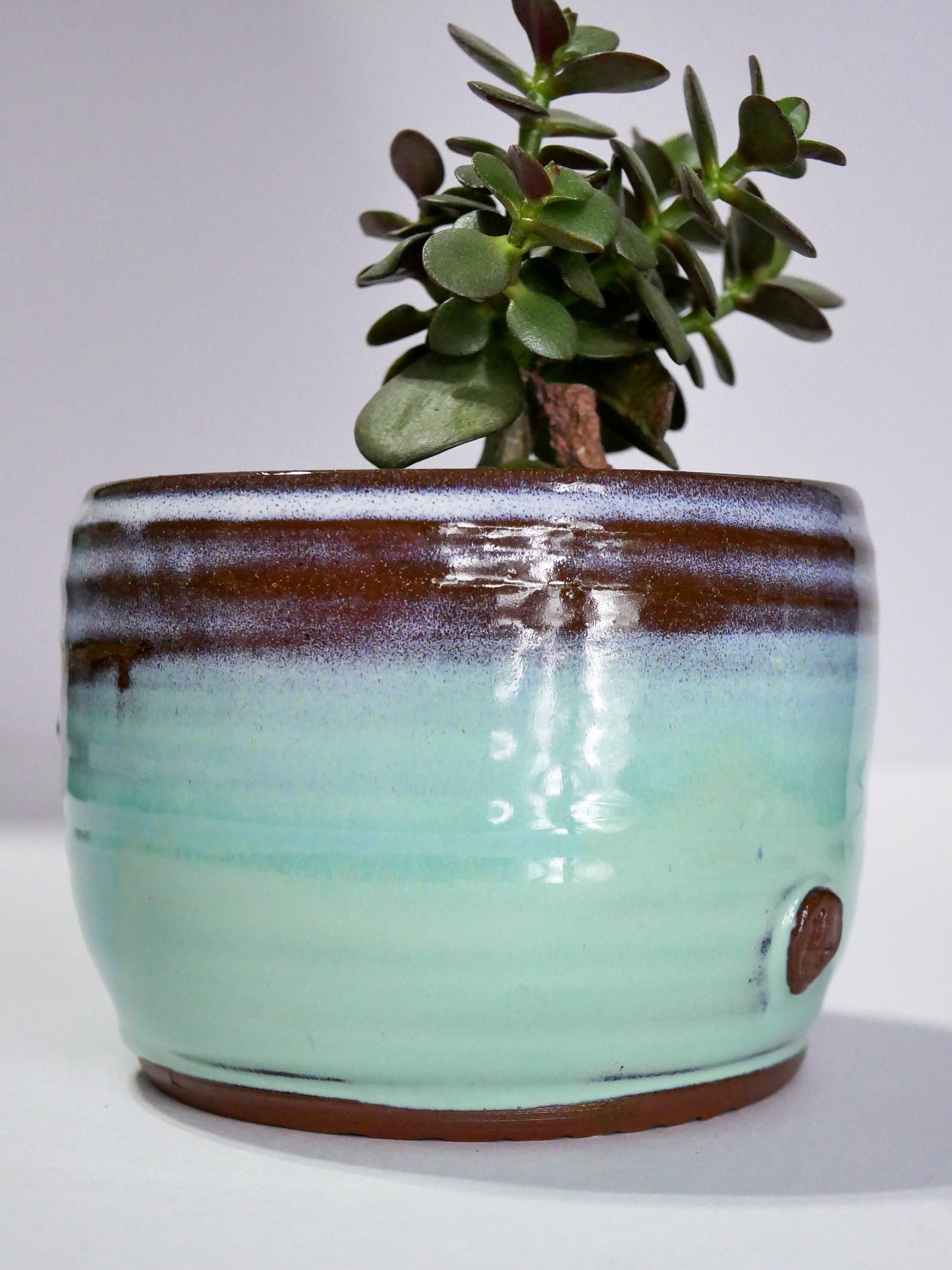 Wheelthrown Planter (3.75"x4.75")