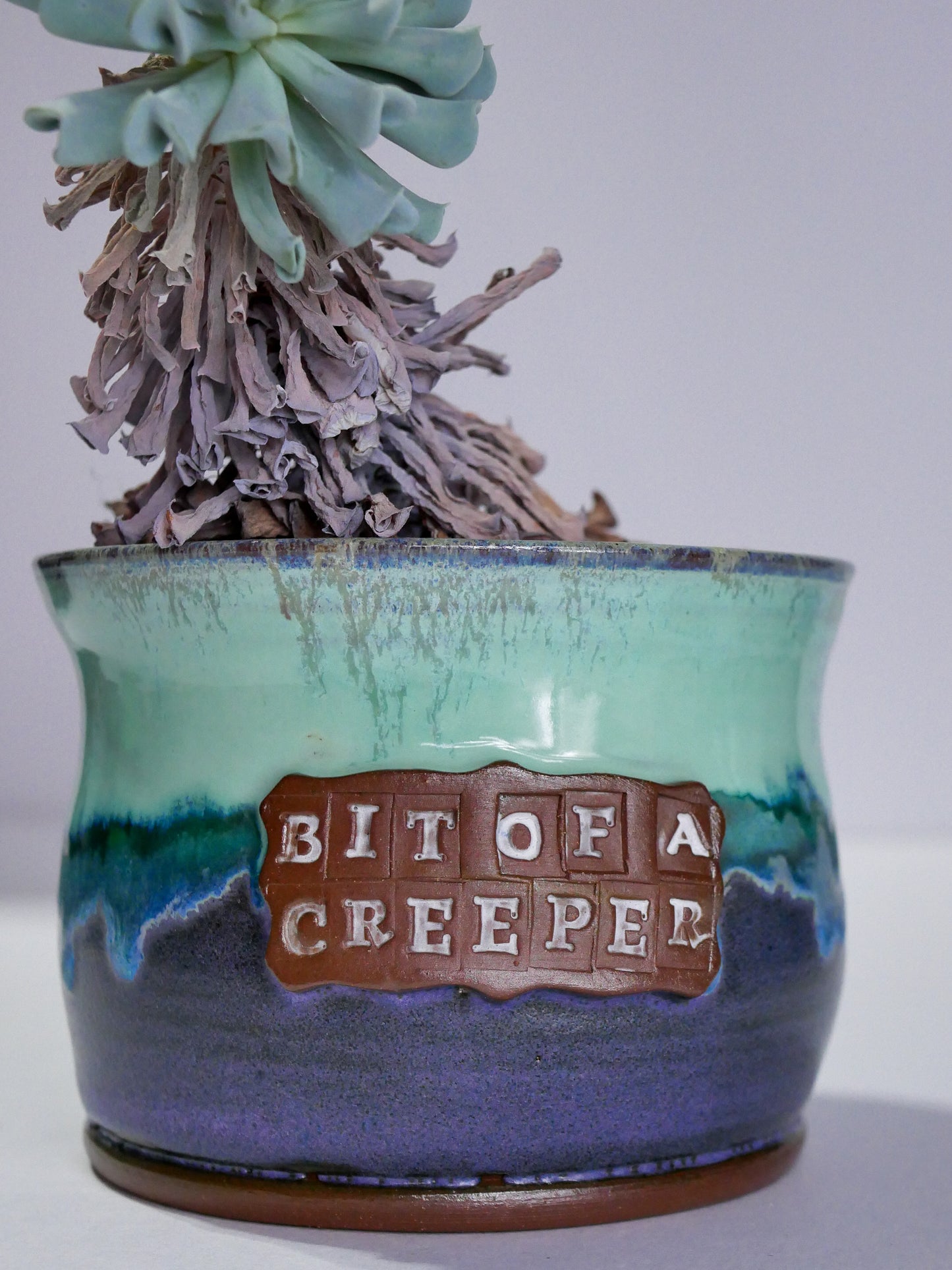 Wheelthrown Planter (3.75"x4.5")