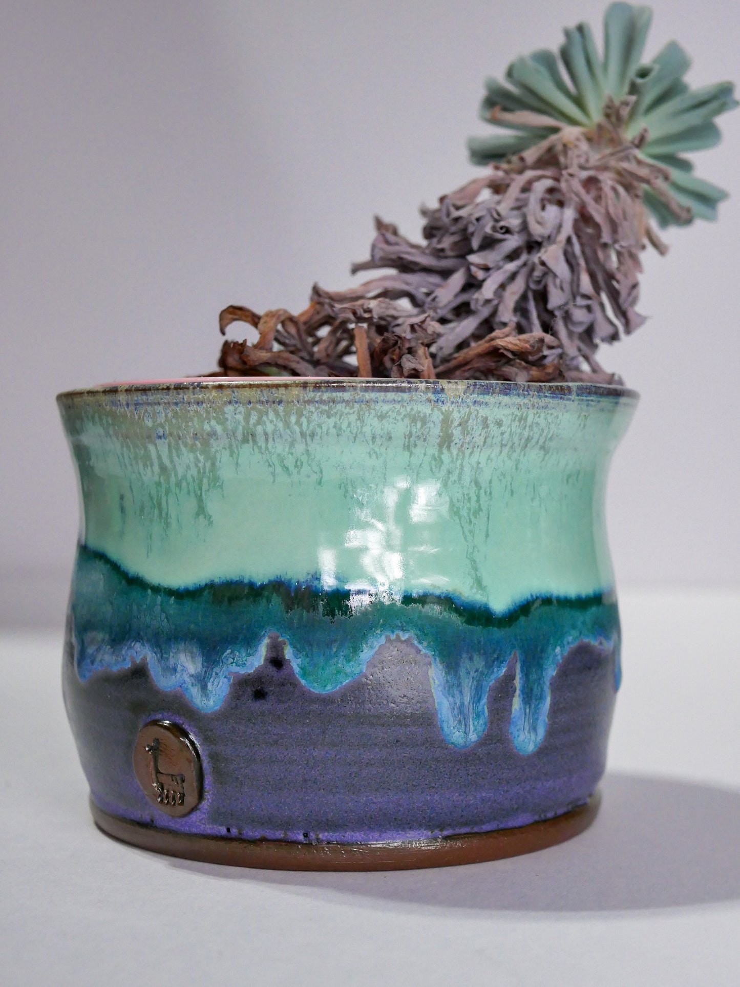 Wheelthrown Planter (3.75"x4.5")